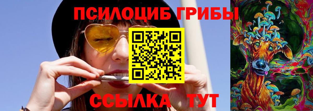 Галлюциногенные грибы прущие грибы Новодвинск