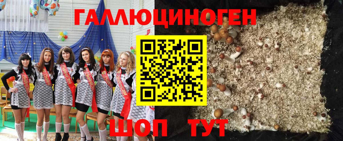 Псилоцибиновые грибы Cubensis  Псилоцибиновые грибы MAGIC MUSHROOMS  Новодвинск  Вход с VPN 